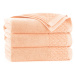 Zwoltex Unisex's Towel Carlo Ab RO-023T