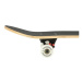 NILS - Skateboard Extreme CR3108 Camper