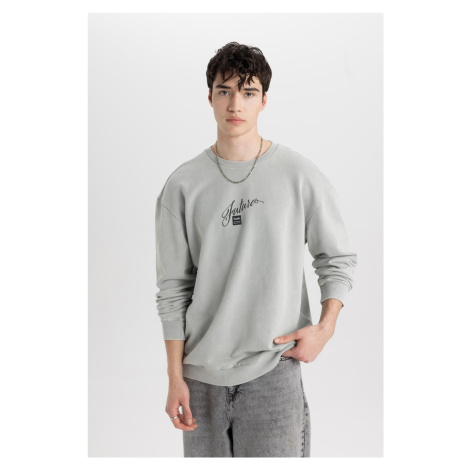 DEFACTO Comfort Regular Fit Relaxed Pattern Crew Neck Printed Sweatshirt