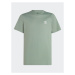 Adidas Tričko Adicolor T-Shirt IC3137 Zelená Regular Fit