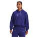 Women's cotton sweatshirt Under Armour Essential Script Hoodie