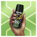 Axe Wild Green Mojito & Cedarwood deodorant a telový sprej I.
