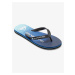 Men's flip-flops Quiksilver MOLOKAI ART