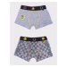 Yoclub Kids's 2Pack Boy's Boxer Briefs BMB-0017C-AA30