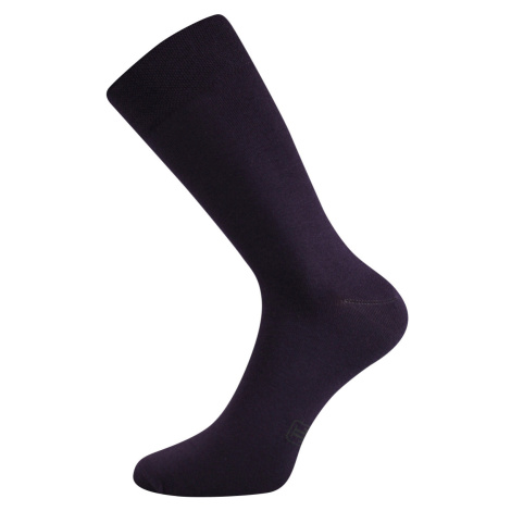 Lonka Decolor Pánske spoločenské ponožky BM000000563500101716 fialová