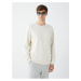 LC Waikiki Crew Neck Long Sleeve Men's Sweatshirt