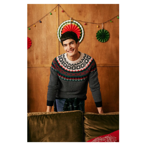 DEFACTO Christmas Themed Standard Fit Regular Cut Patterned Crew Neck Knitwear Sweater