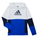 Adidas Colourblock Hoodie Jr HG6826