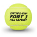 Dunlop FORT ALL COURT TS Tenisové loptičky, mix, veľkosť