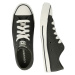 CONVERSE Nízke tenisky 'CHUCK TAYLOR ALL STAR - CAVE G'  tmavozelená / biela