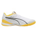 Puma IBERO IV Pánska futsalová obuv, biela, veľkosť 44