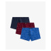 Men's boxers ATLANTIC 3Pack - multicolor