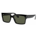 Ray-Ban Inverness RB2191 901/31 - ONE SIZE (54)