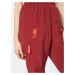 NIKE Športové nohavice 'Liverpool FC'  oranžová / červená