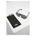 101 Sunglasses UC grey leo/black