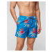 Pánske Boardshortky Quiksilver Everyday Mix Volley 15