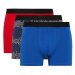 DEFACTO Regular Fit 3-pack Boxer