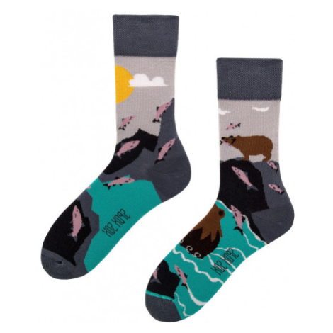 Ponožky pánske Medveď a Rybky viacfarebná - spox Sox vícebarevná