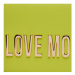 LOVE MOSCHINO Kabelka JC4103PP1IKD0404 Zelená