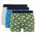 DEFACTO Regular Fit 3-pack Boxer