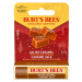 Burt’s Bees Festive Salted Caramel hydratačný balzam na pery