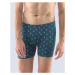 Men's boxers Gino multicolored