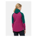 Jack Wolfskin Softshellová bunda Alpspitze Hoody 1307751 Zelená Regular Fit