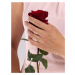 Strieborný/pozlátený prsteň Samira s čírymi Brilliance Zirconia