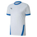 Puma teamGOAL 23 Dres M 704171