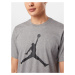 Jordan Funkčné tričko  sivá / čierna