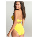 Swimwear Spirit High Waist Brief sunshine SW1825 46