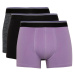 DEFACTO Regular Fit 3-Pack Boxer