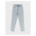 LC Waikiki High Waist Slim Mom Women's Jean Pants