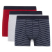 DEFACTO Regular Fit 3-Piece Boxer