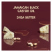 Shea Moisture Jamaican Black Castor Oil Strengthen & Restore bezoplachový kondicionér pre kučera