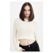 DEFACTO Regular Fit Crop Crew Neck Knitted Hole Knitwear Sweater