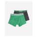 Placed Logo boxerky 2 ks Puma