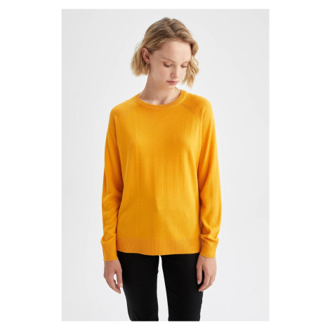 DEFACTO Relax Fit Crew Neck Basic Sweater I6913az22wn