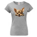Dámské tričko Čivava -  tričko pre milovníkov psov