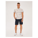 Diverse Men's shorts KETCH II