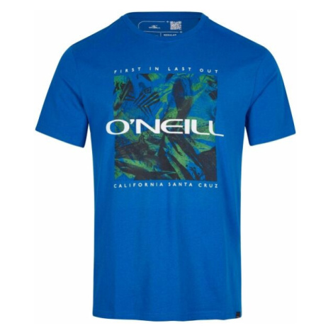 O'Neill CRAZY T-SHIRT Pánske tričko, modrá, veľkosť