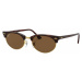 Ray-Ban Clubmaster Oval RB3946 130457 Polarized