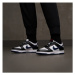 Nike Dunk Low Gs Ht