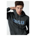 Trendyol Anthracite Regular/Normal Cut Hooded Printed Inside Polar Fleece Sweatshirt