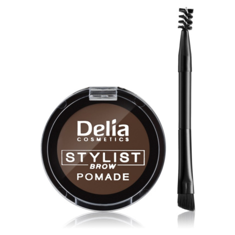 Delia Cosmetics Eyebrow Expert pomáda na obočie odtieň Dark Brown