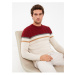 LC Waikiki Crew Neck Long Sleeve Color Block Men's Knitwear Sweater