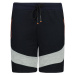 Men's navy blue sweat shorts SX1095