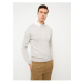 LC Waikiki Crew Neck Long Sleeve Men's Knitwear Sweater