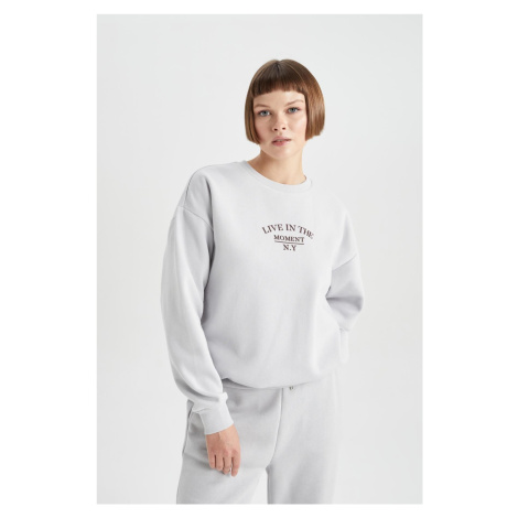 DEFACTO Relax Fit Crew Neck Thick Sweatshirt