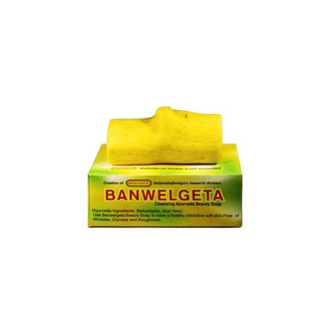 Siddhalepa ajurvédske mydlo Banwelgeta, 70 g